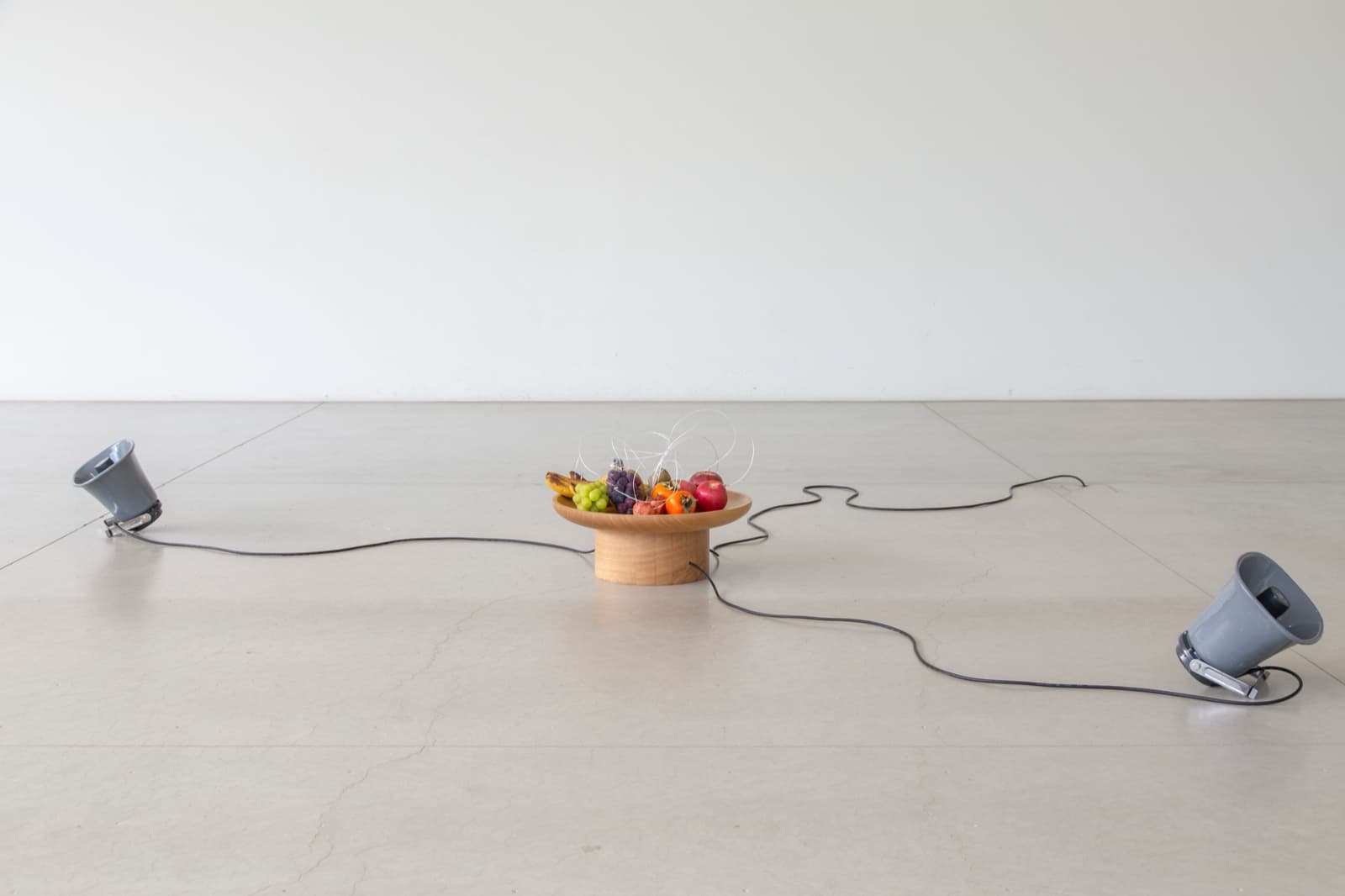 Yuko Mohri: In Concert