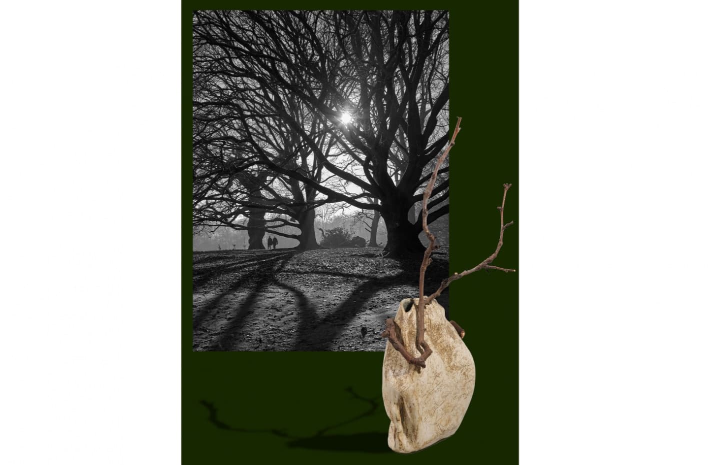 Num Stibbe and Ornan Rotem: Inspired by the Heath
