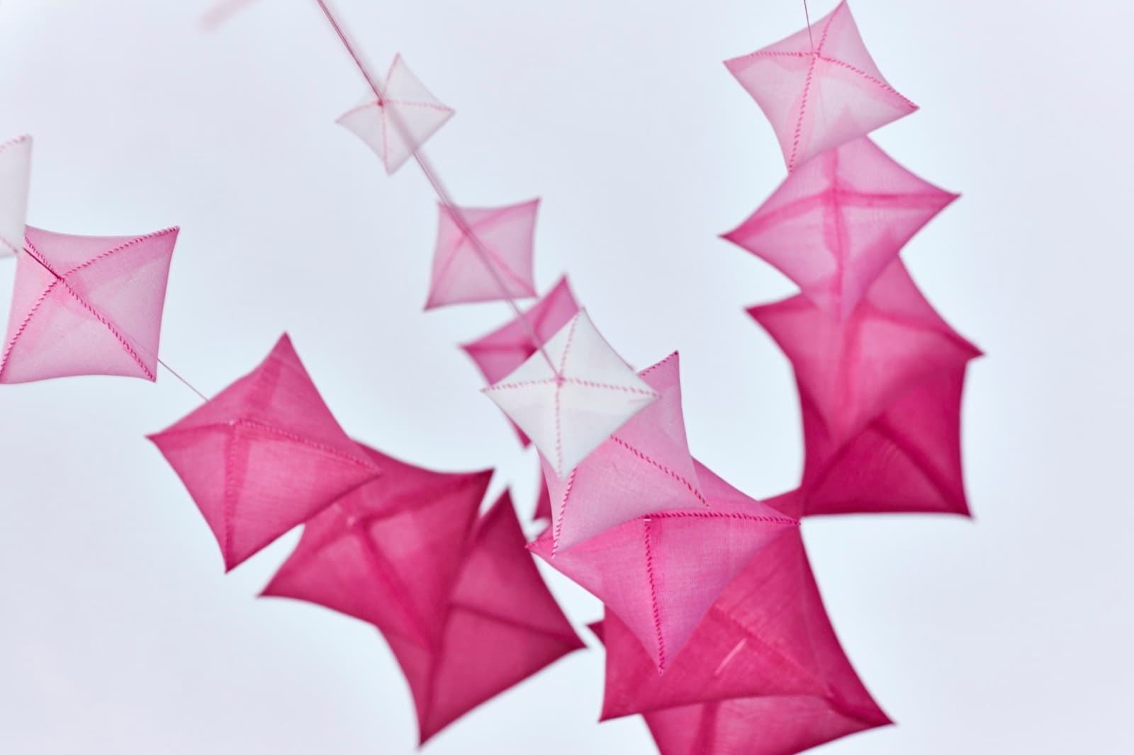 Cherry Blossom Project