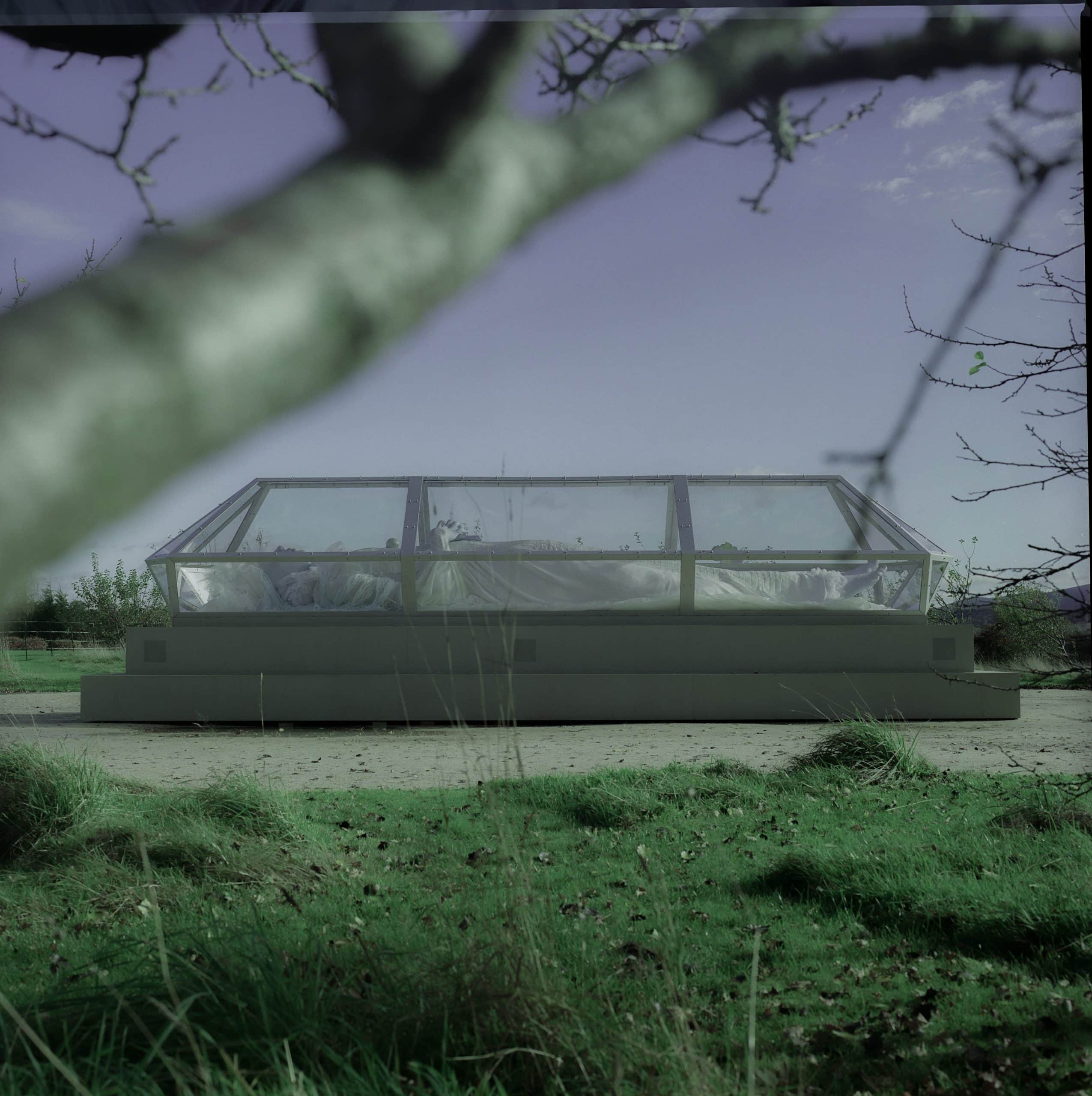 Tai Shani: The Spell or The Dream