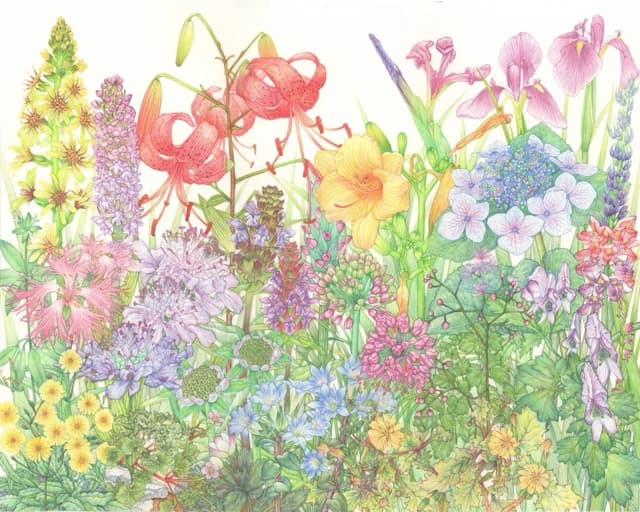 RHS Botanical Art and Photography Show 2026