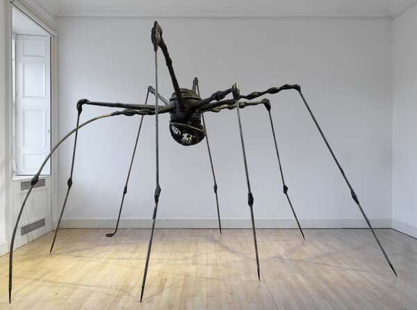 ARTIST ROOMS: Louise Bourgeois | Helen Chadwick | Robert Mapplethorpe