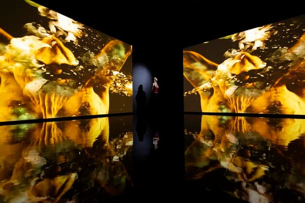 Wayne McGregor: Infinite Bodies