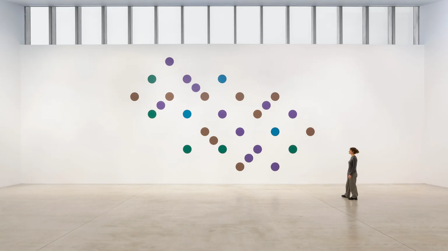 Bridget Riley: Learning to See