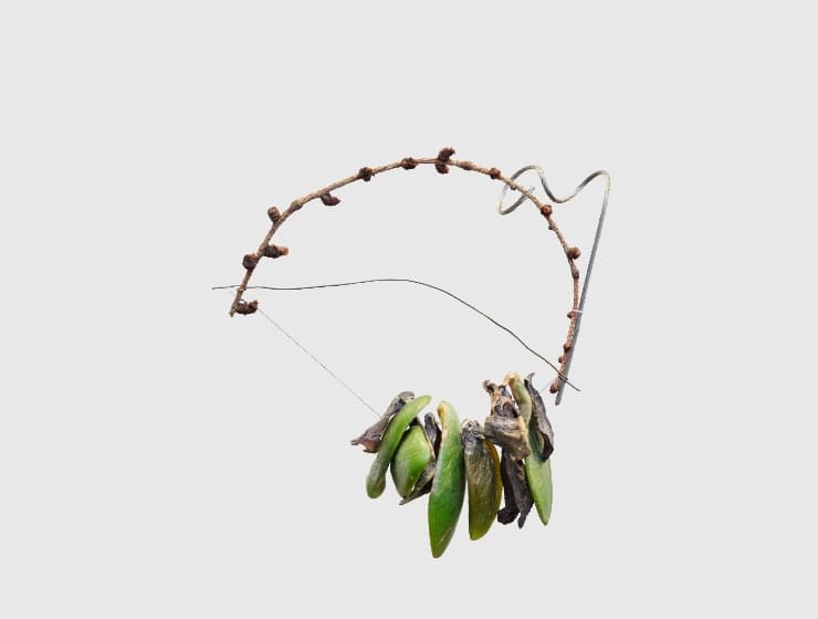 Cecilia Vicuña: Foraging Quipu
