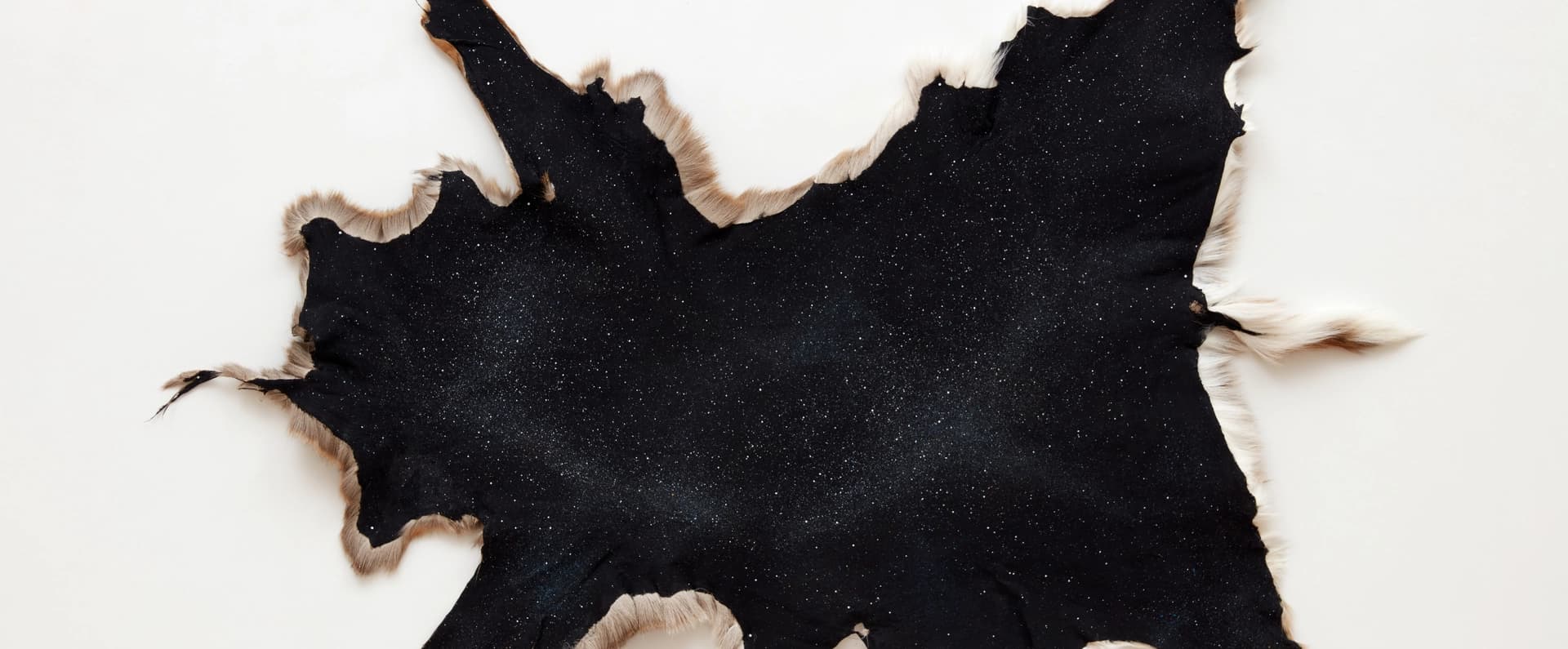 Hold to this Earth: Works by Contemporary Indigenous North American Artists from Tia Collection
