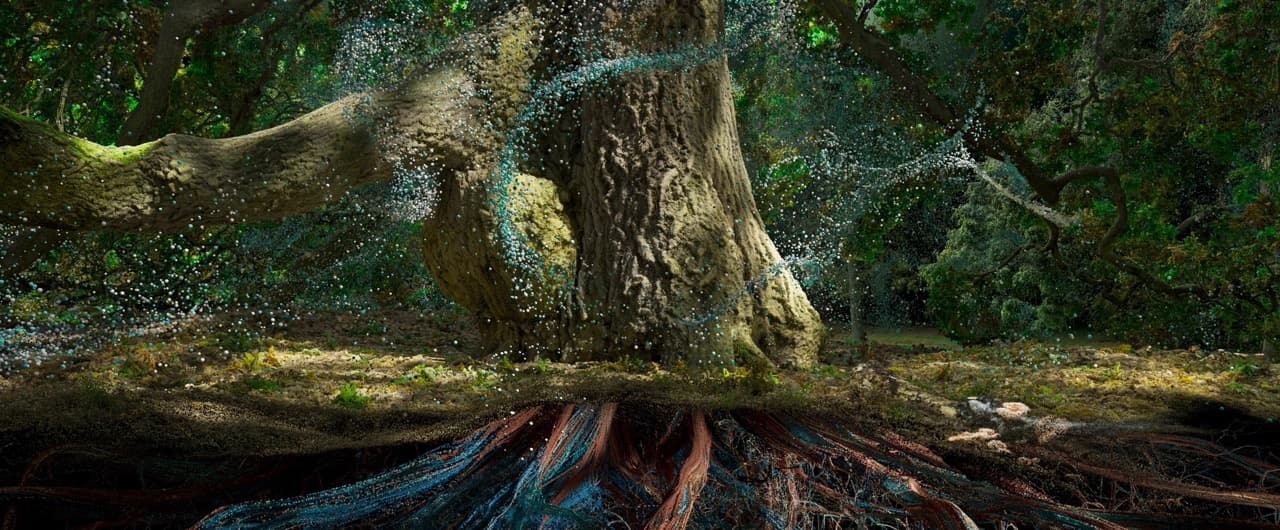 Marshmallow Laser Feast: Of the Oak